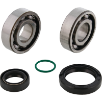 (image for) Crank Bearing and Seal Kit - HUSQVARNA TC 50 24-25
