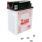 (image for) Yumicron 12V Battery YB12C-A