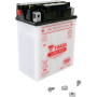 (image for) Yumicron 12V Battery YB12C-A