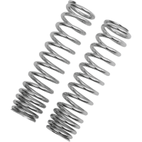 (image for) Replacement Springs Chrome 95-140 psi