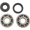 (image for) Main Bearing and Seal Kit - KAWASAKI KX125 88-05