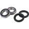 (image for) Front Wheel Bearing Kit - SUZUKI