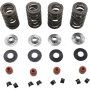 (image for) Racing Valve Spring Kit, 0.675" Lift, Titanium Retainers