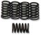 (image for) Barnett Clutch Springs for Kawasaki KZ1100 GP 81-83