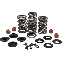 (image for) Racing Valve Spring Kit, 0.650" Lift, Steel Retainers