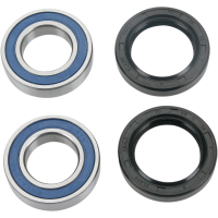 (image for) Front Wheel Bearing and Seal Kit