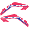 (image for) Factory Effex OEM Shroud and Tank/Shroud Graphics, Style 22 for CRF450R 21-24