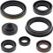 (image for) Moose Offroad Oil Seal Set for Suzuki RM-Z250 07-24