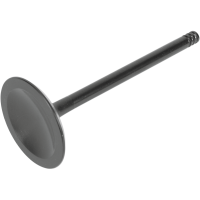 (image for) Nitrided Intake Valve Standard