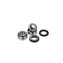 (image for) Front Wheel Bearing Kit - SWM