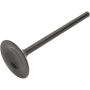 (image for) Black Diamond Intake Valve