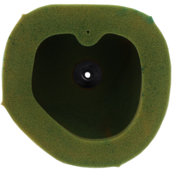 (image for) Twin Air Pre-Oiled Filter 1011-4413