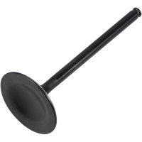 (image for) Black Diamond Intake Valve