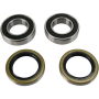 (image for) Rear Wheel Bearing and Seal Kit