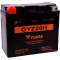 (image for) Yuasa High-Performance Factory-Activated AGM Maintenance-Free Battery for Ducati 907 I.E. Paso 90-94