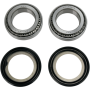 (image for) Steering Stem Bearing Kit 0410-0121
