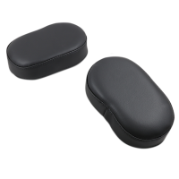 (image for) Show Chrome Passenger Armrests