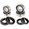 (image for) Front Wheel Bearing and Seal Kit