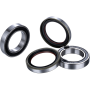 (image for) Race Series Front Wheel Bearing Kit