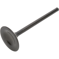 (image for) Black Diamond Intake Valve