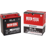 (image for) BS Battery SLA AGM Battery 2113-0639