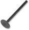 (image for) Nitrided Exhaust Valve Standard