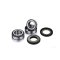 (image for) Rear Wheel Bearing Kit - BMW