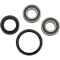 (image for) Front Wheel Bearing and Seal Kit