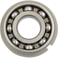 (image for) Counterbalance Shaft Bearing Right