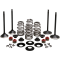 (image for) Black Diamond Engine Valve Kit for Twin Cam