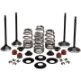 (image for) Black Diamond Engine Valve Kit for Twin Cam