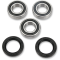 (image for) Rear Wheel Bearing and Seal Kit