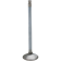 (image for) White Diamond Intake Valve