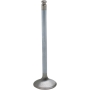 (image for) White Diamond Intake Valve