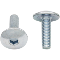 (image for) Replacement Fairing Bolt M5 x 0.8 x 16 mm