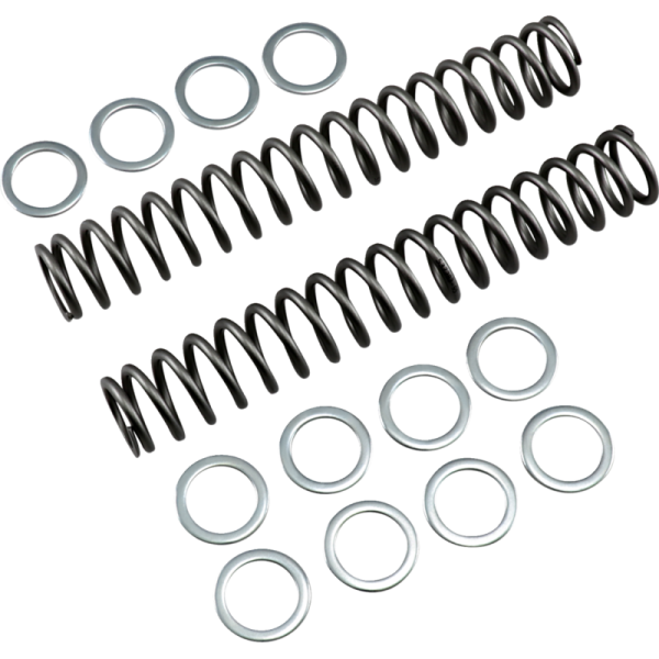 Race Tech Fork Springs
