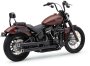 (image for) RPT Slip-On Mufflers, Raven Black