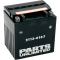 (image for) Parts Canada AGM Battery 2113-0107