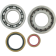 (image for) Main Bearing and Seal Kit - KTM 300 XC-W 06-15