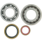 (image for) Main Bearing and Seal Kit - KTM 300 XC-W 06-15