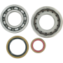(image for) Main Bearing and Seal Kit - KTM 300 XC-W 06-15