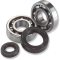 (image for) Crank Bearing and Seal Kit - HONDA CR125R 86-07