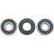 (image for) Rear Wheel Bearings and Seal Kit