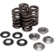 (image for) Lightweight Racing Valve Spring Kit
