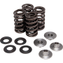 (image for) Lightweight Racing Valve Spring Kit
