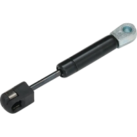 (image for) Trunk Shock