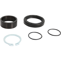 (image for) Countershaft Seal Kit 0935-0841