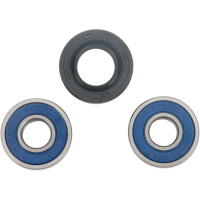 (image for) Front Wheel Bearing and Seal Kit