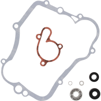 (image for) Vertex Water Pump Rebuild Kit