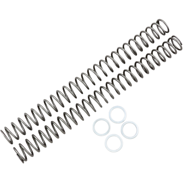 (image for) Race Tech Fork Spring 0405-0098